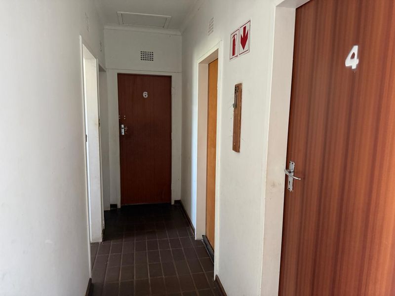 SOLE MANDATE – A GOLDEN OLDIE IN FAUNA PARK - Photo 7