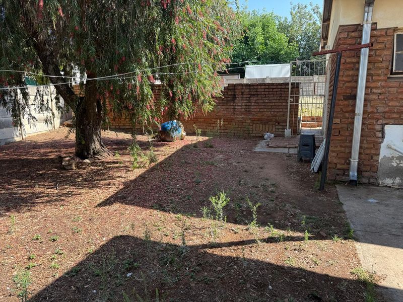 SOLE MANDATE – A GOLDEN OLDIE IN FAUNA PARK - Photo 6