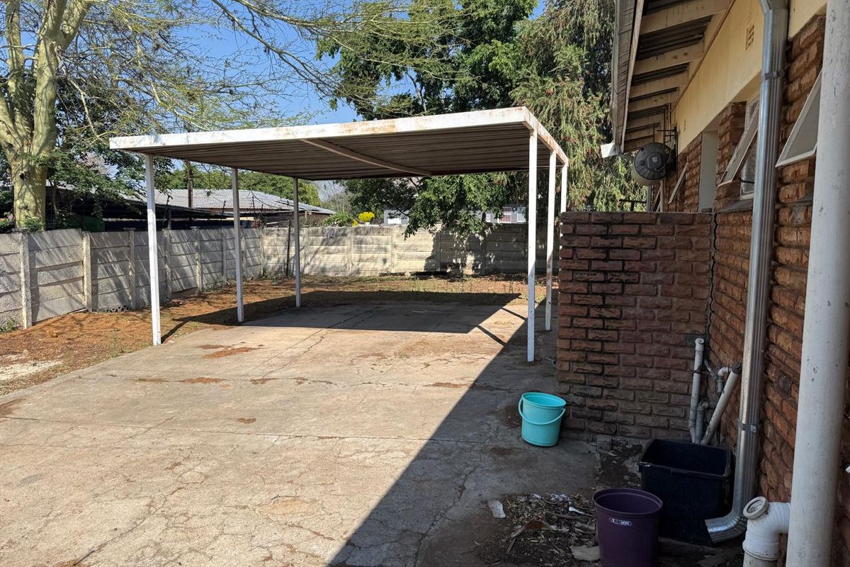 SOLE MANDATE – A GOLDEN OLDIE IN FAUNA PARK - Photo 3