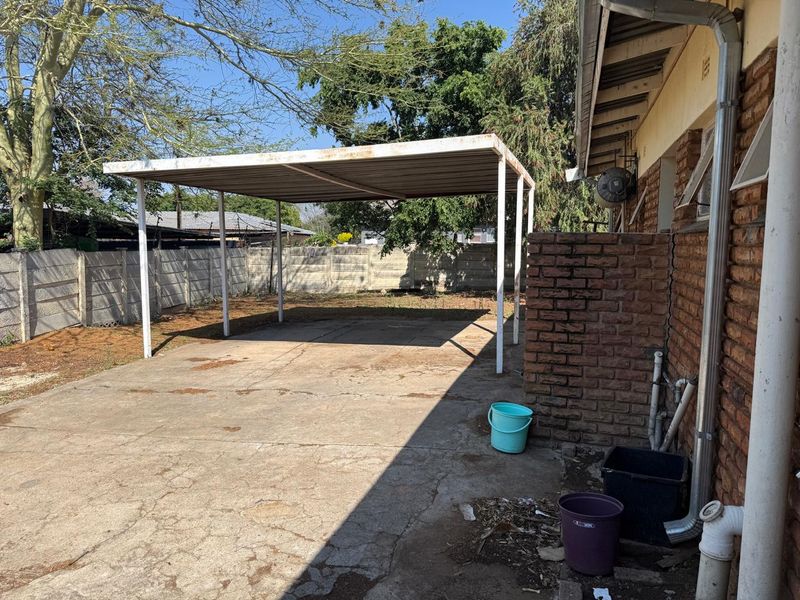 SOLE MANDATE – A GOLDEN OLDIE IN FAUNA PARK - Photo 3