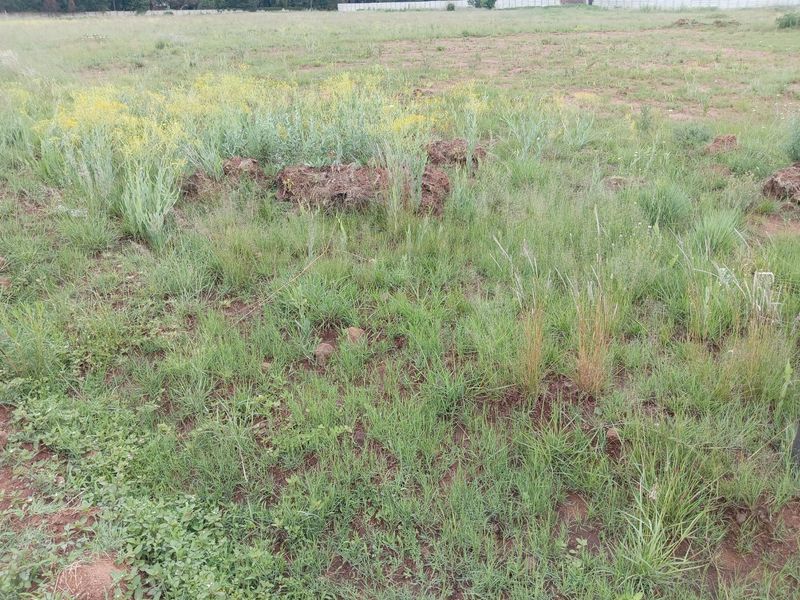 Location Location Location!!  - Photo 10