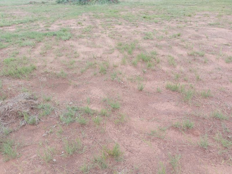 Location Location Location!!  - Photo 9