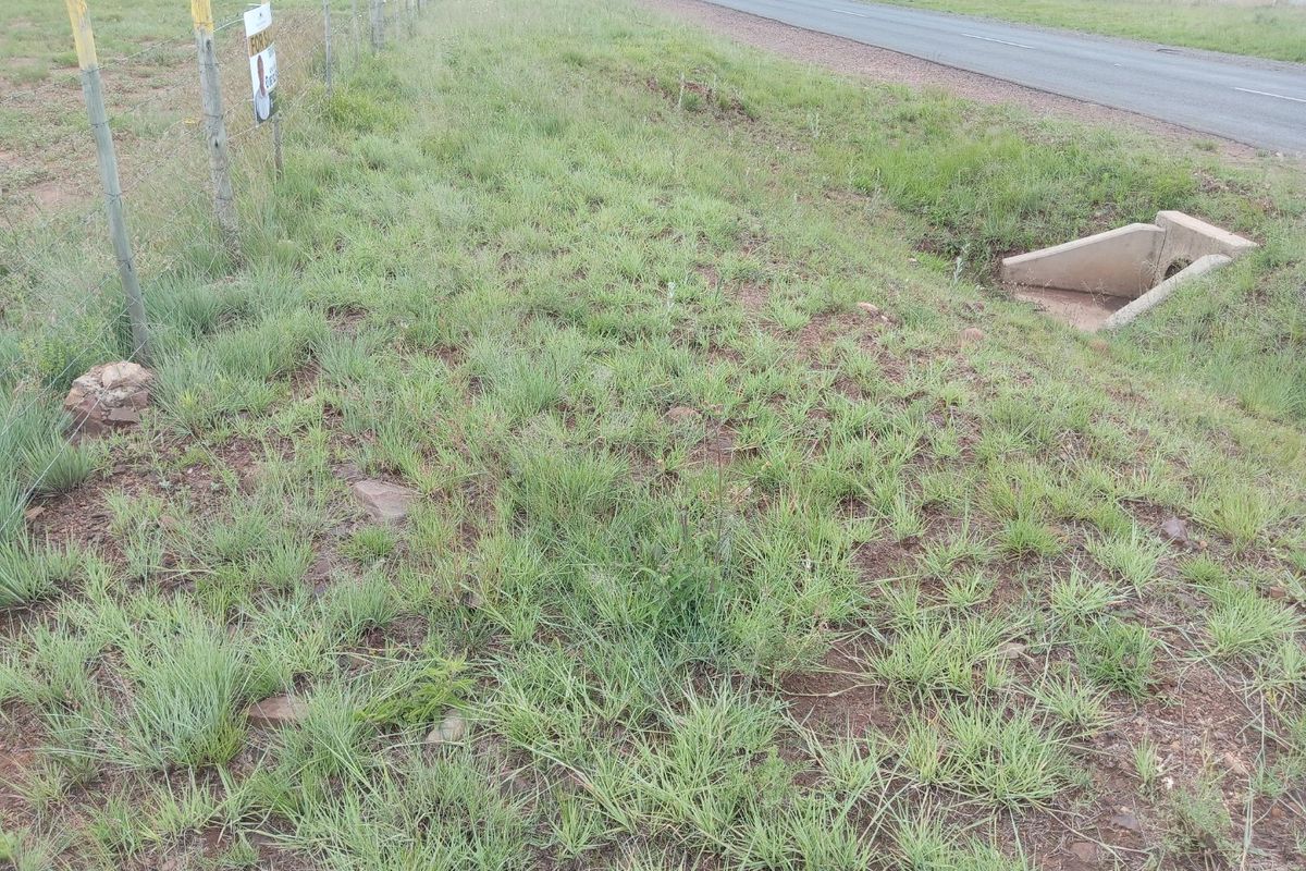 Location Location Location!!  - Photo 5