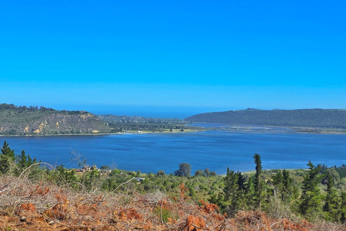 Lake, sea and mountain views from this 10-Hectare Smallholding for Sale on the Outskirts of Sedgefield No Transfer Duty – VAT Included. - Photo 2