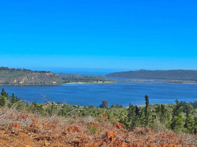 A scenic elevated view overlooking a large lagoon or estuary surrounded by rolling hills and natural vegetation.