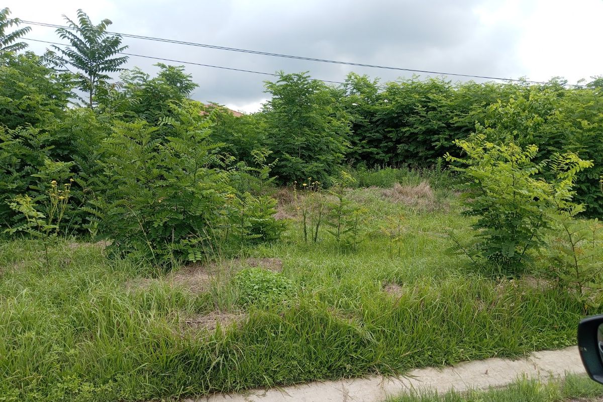 Land for Development available for sale!!  - Photo 5