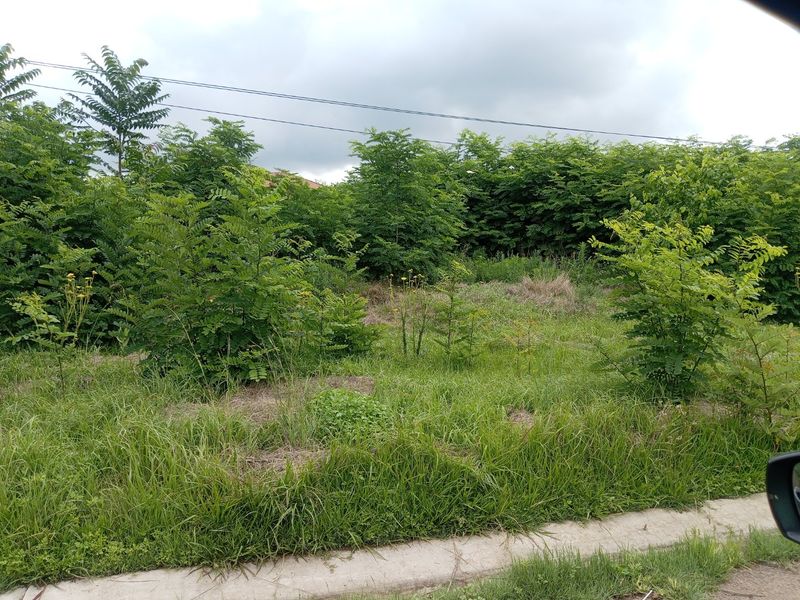 Land for Development available for sale!!  - Photo 5