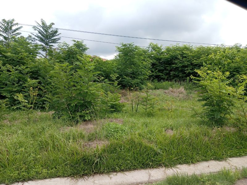 Land for Development available for sale!!  - Photo 4