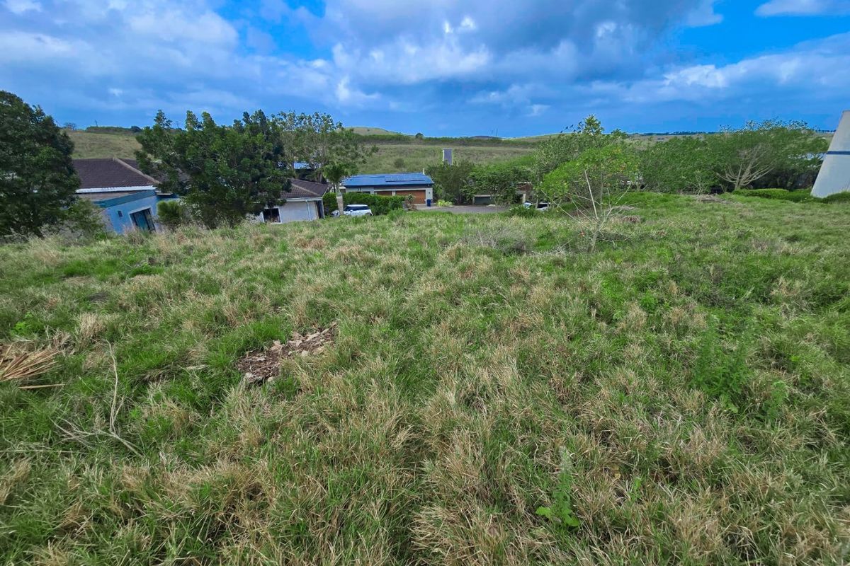 Exceptional Opportunity to Build in Palm Lakes Estate, Tinley Manor - Photo 3