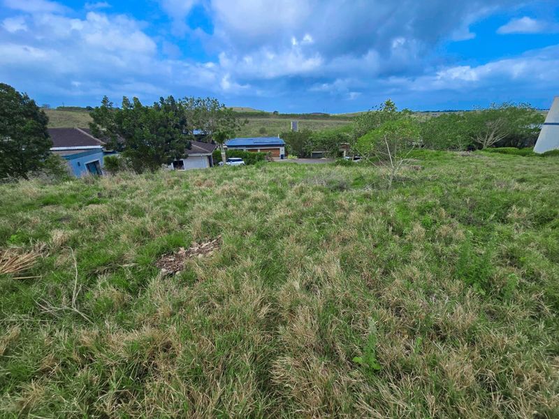 Exceptional Opportunity to Build in Palm Lakes Estate, Tinley Manor - Photo 3