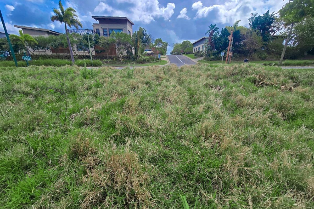 Exceptional Opportunity to Build in Palm Lakes Estate, Tinley Manor - Photo 2