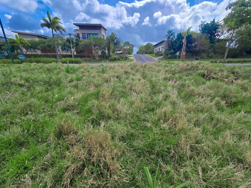 Exceptional Opportunity to Build in Palm Lakes Estate, Tinley Manor - Photo 2