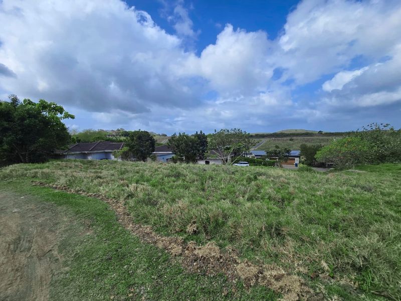 Exceptional Opportunity to Build in Palm Lakes Estate, Tinley Manor - Photo 6