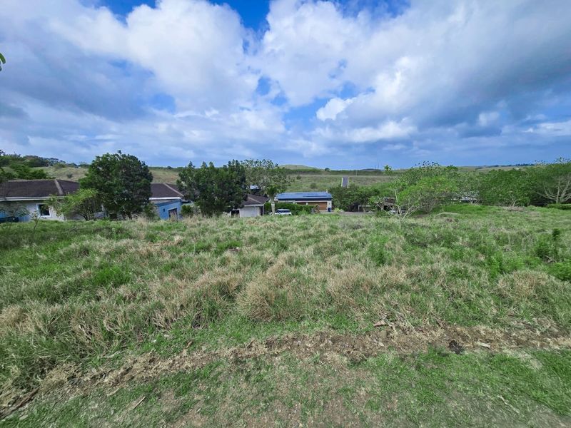 Exceptional Opportunity to Build in Palm Lakes Estate, Tinley Manor - Photo 5