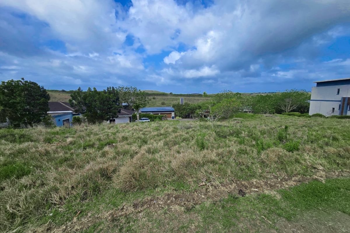 Exceptional Opportunity to Build in Palm Lakes Estate, Tinley Manor - Photo 4