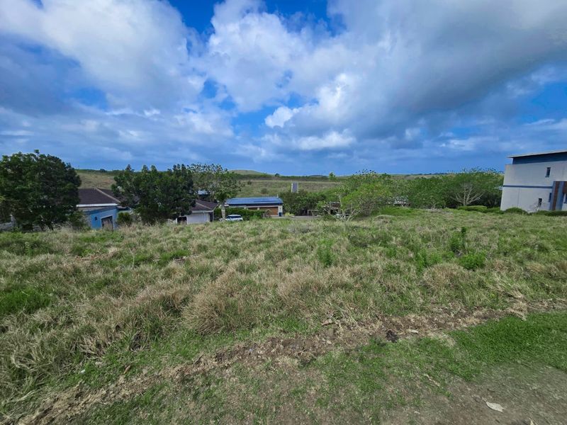 Exceptional Opportunity to Build in Palm Lakes Estate, Tinley Manor - Photo 4