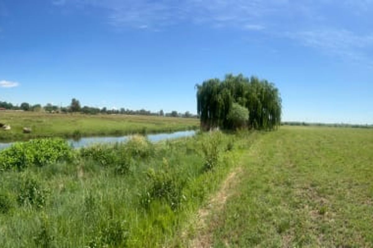 Prime Agricultural Plot with River Access  - Photo 3