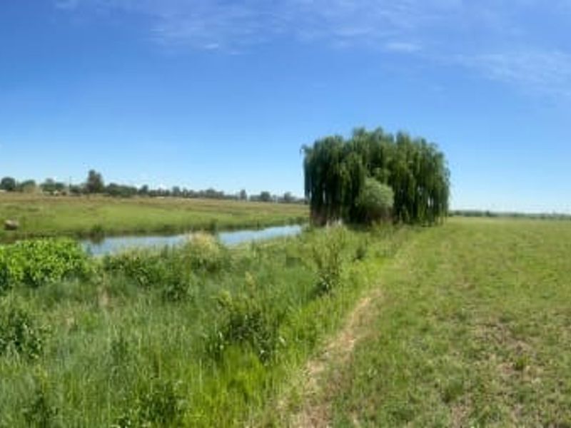 Prime Agricultural Plot with River Access  - Photo 3
