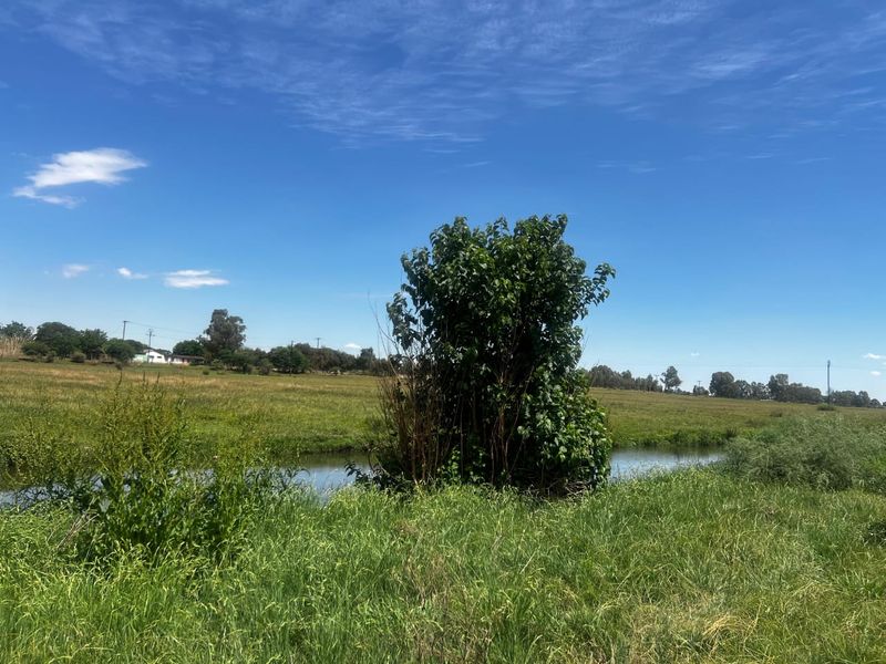 Prime Agricultural Plot with River Access  - Photo 9