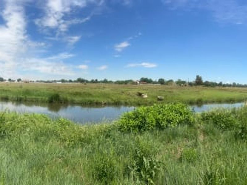 Prime Agricultural Plot with River Access  - Photo 2