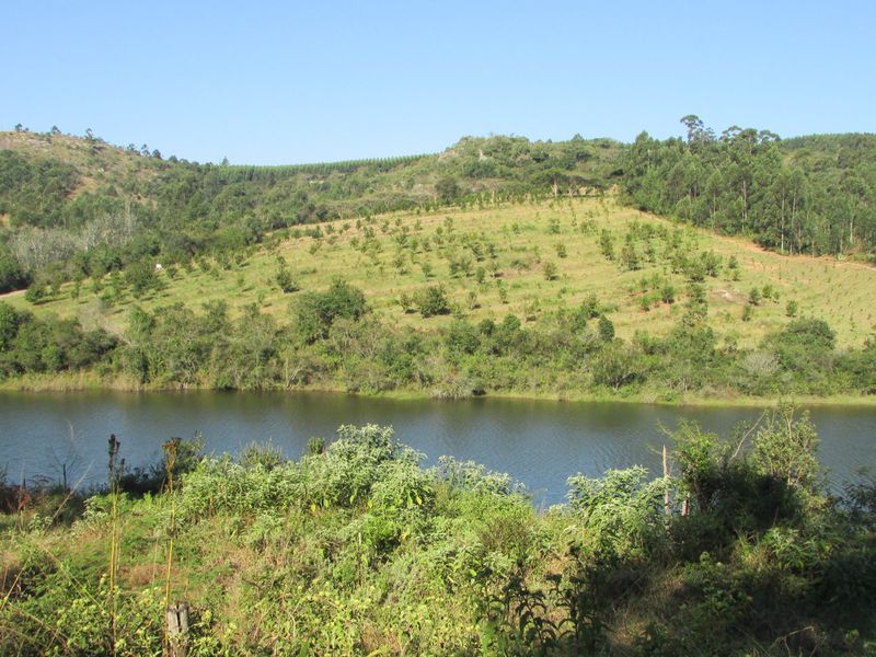 Macadamia farm near Da Gama Dam - Photo 9