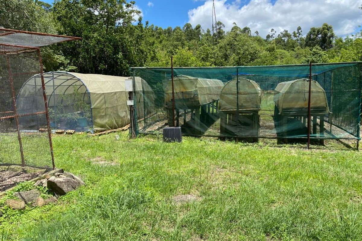Macadamia farm near Da Gama Dam - Photo 3