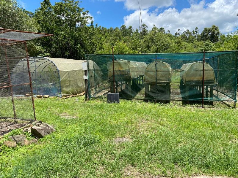 Macadamia farm near Da Gama Dam - Photo 3