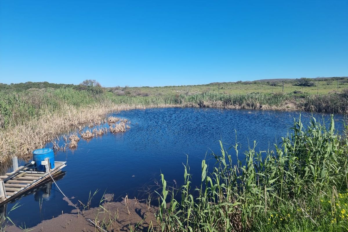 A Diamond in the rough - Photo 5