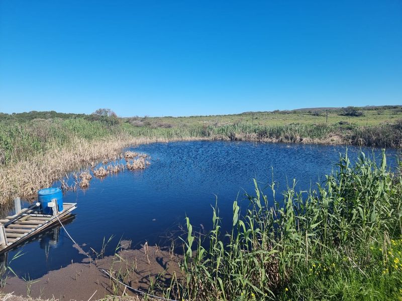 A Diamond in the rough - Photo 5