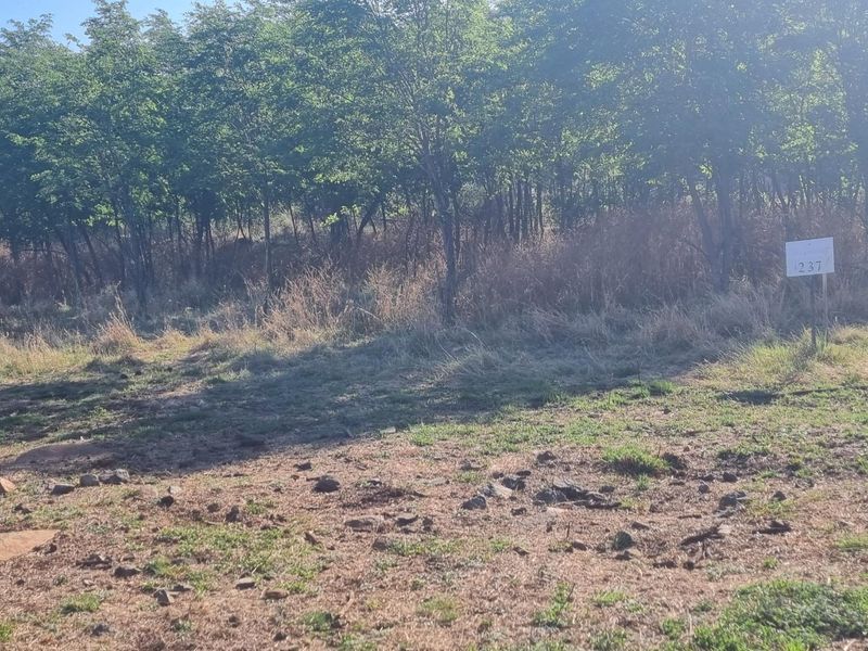 A view of a vacant residential plot featuring natural vegetation and mature trees, suitable for development.