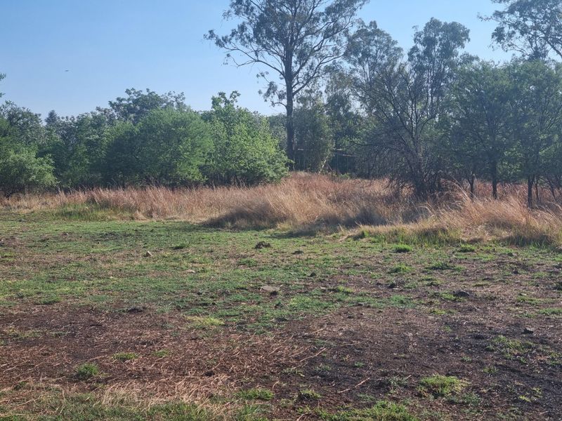 A view of a vacant residential plot featuring natural grass, shrubs, and mature trees.