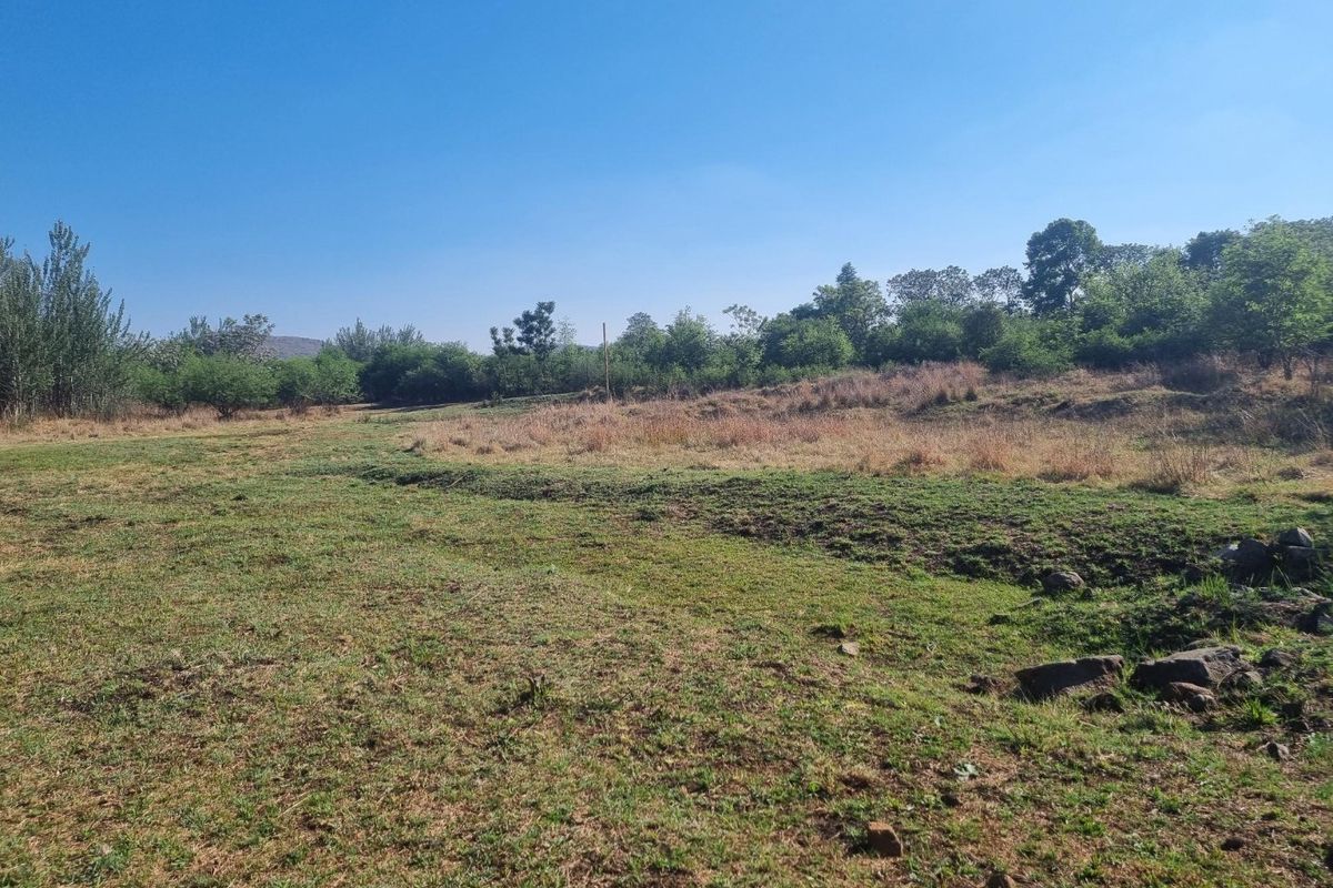 A view of an open, undeveloped residential plot featuring natural grass and surrounding trees under a clear blue sky.