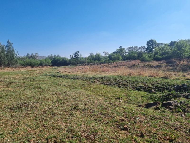 A view of an open, undeveloped residential plot featuring natural grass and surrounding trees under a clear blue sky.