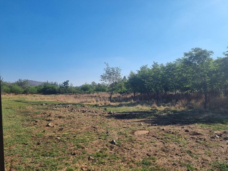 A view of a vacant residential plot featuring natural grass, scattered rocks, and mature trees under a clear blue sky.
