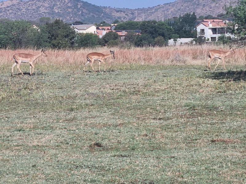 A view of the vacant residential land featuring natural grass terrain with surrounding mountain and residential estate views.