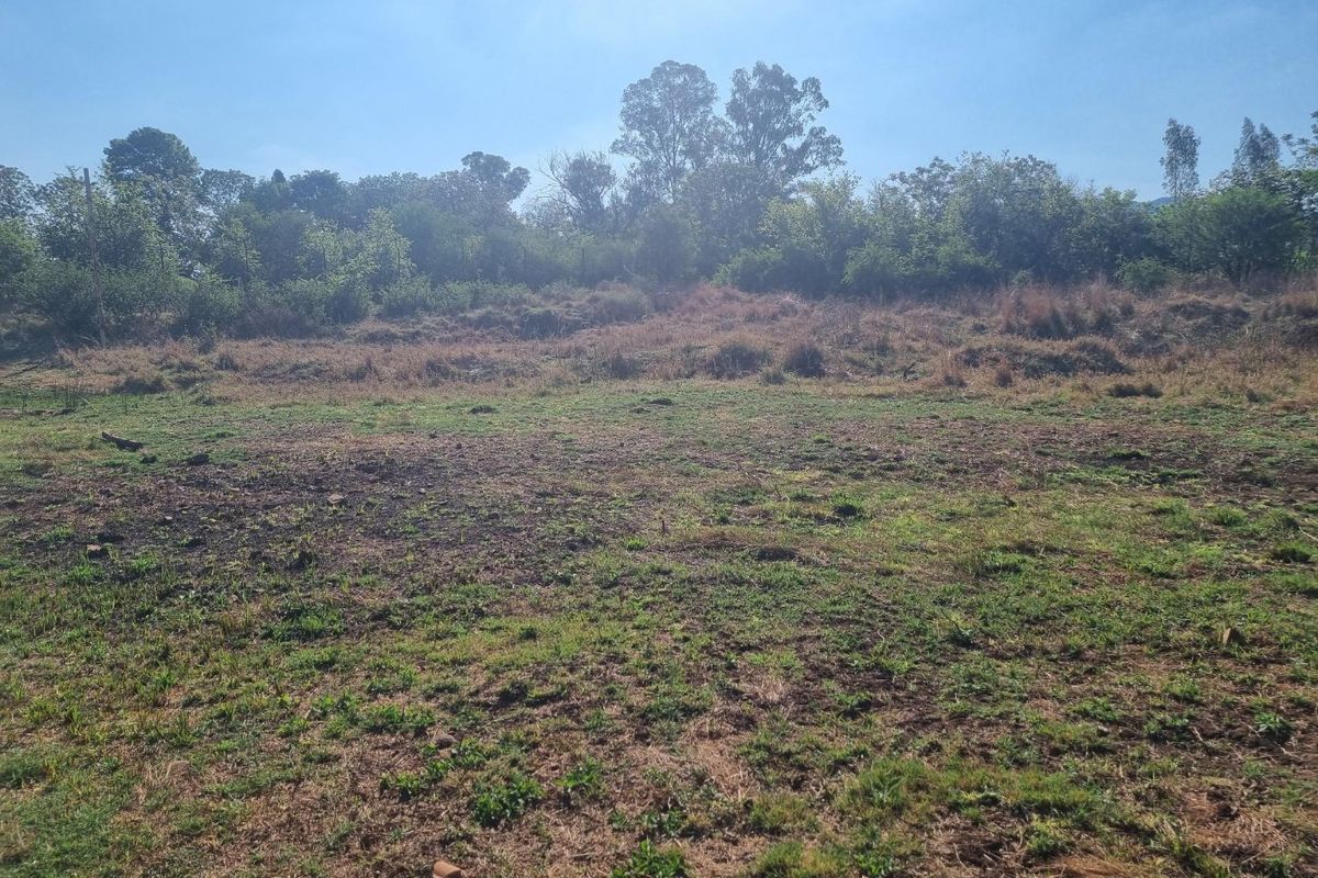 A view of a vacant residential plot featuring natural vegetation and open land, suitable for future development.