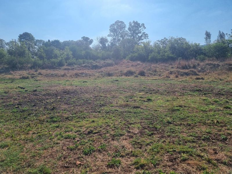 A view of a vacant residential plot featuring natural vegetation and open land, suitable for future development.
