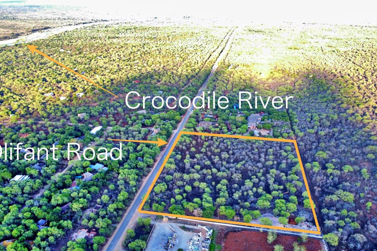 Prime Development Opportunity in the Heart of Marloth Park - Photo 2