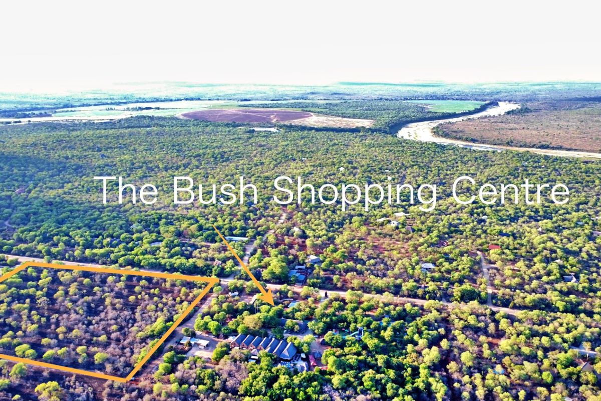 Prime Development Opportunity in the Heart of Marloth Park - Photo 3