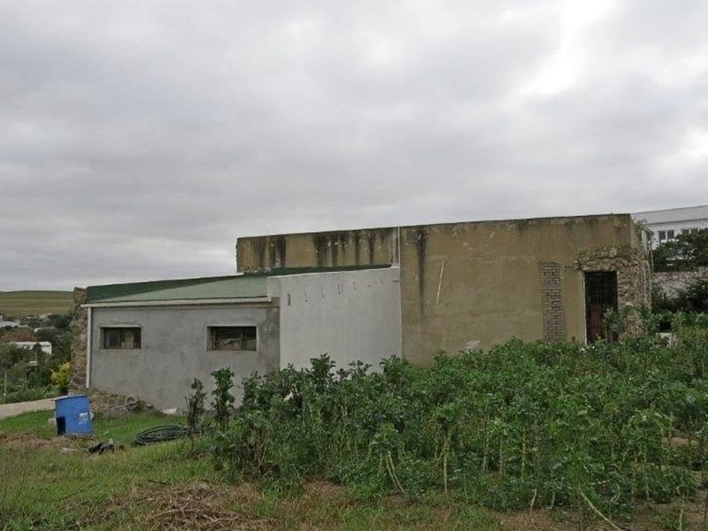 Charming Stone Cottage with Dam, Greenhouse & Irrigation – Embrace Peaceful Country Living - Photo 10