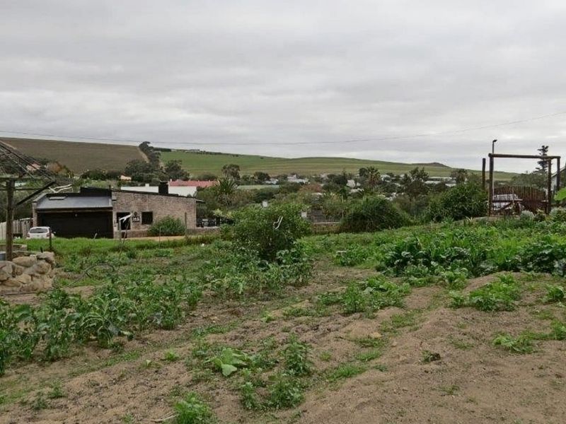 Charming Stone Cottage with Dam, Greenhouse & Irrigation – Embrace Peaceful Country Living - Photo 6