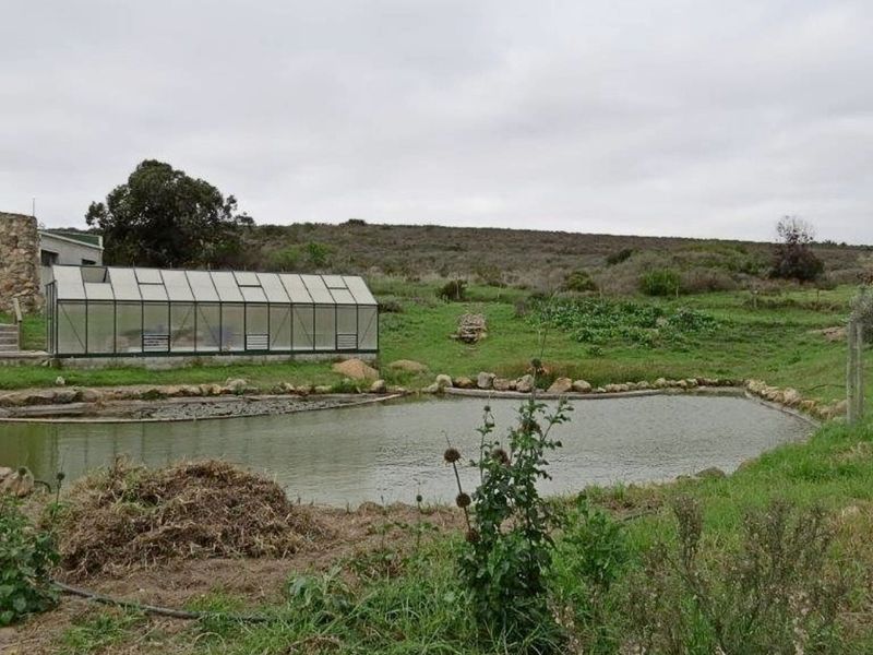 Charming Stone Cottage with Dam, Greenhouse & Irrigation – Embrace Peaceful Country Living - Photo 7