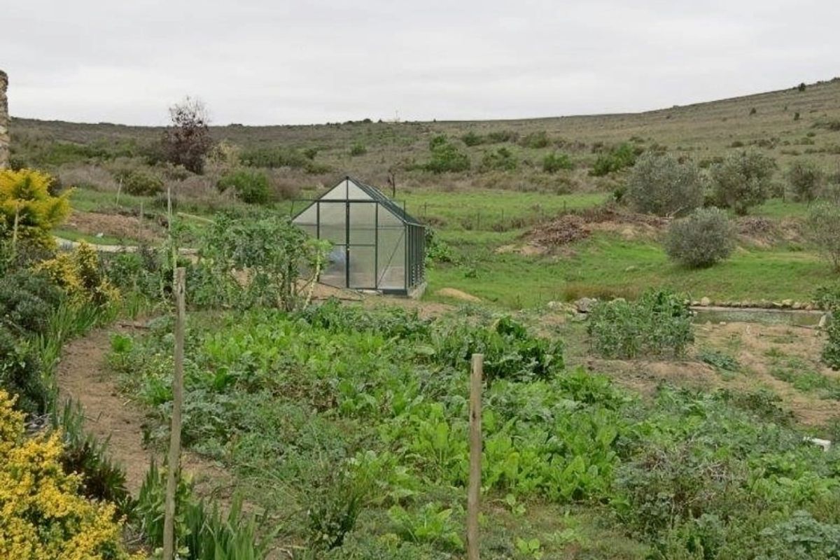 Charming Stone Cottage with Dam, Greenhouse & Irrigation – Embrace Peaceful Country Living - Photo 3