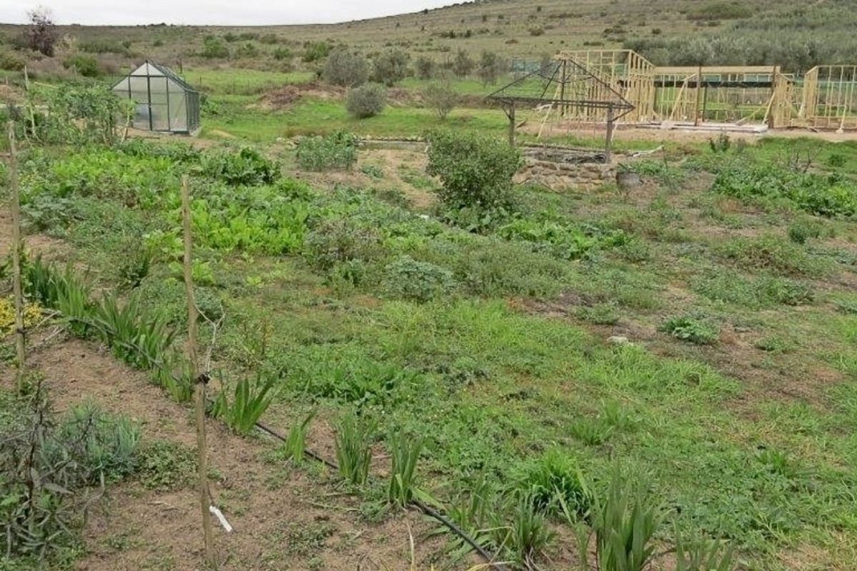 Charming Stone Cottage with Dam, Greenhouse & Irrigation – Embrace Peaceful Country Living - Photo 2