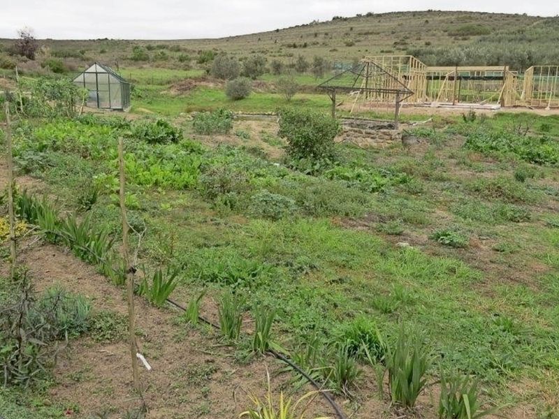 Charming Stone Cottage with Dam, Greenhouse & Irrigation – Embrace Peaceful Country Living - Photo 2
