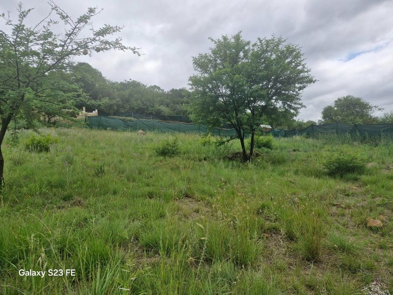 Build Your Dream Home at Estate D’Afrique  14 Rue Beaulieu - Photo 7