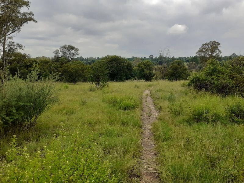 A natural, undeveloped grassland area on the farm property featuring a dirt walking path through the vegetation.