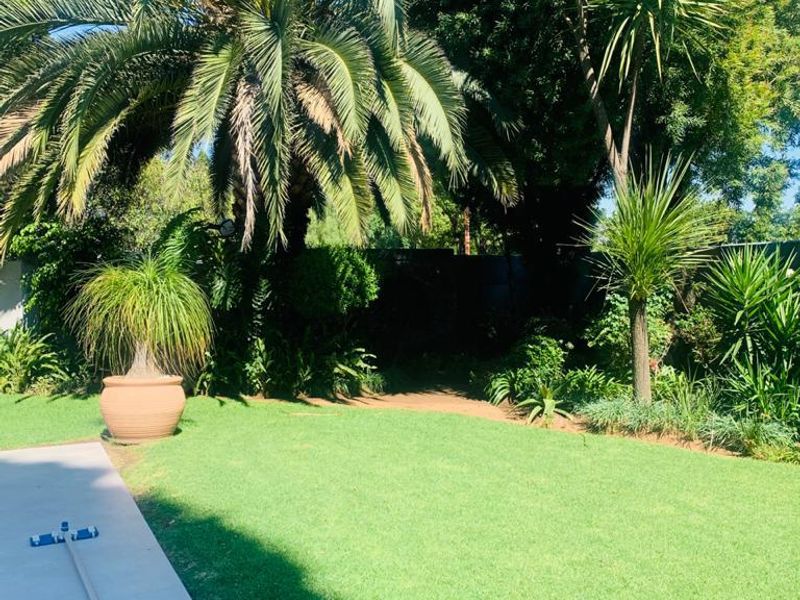 Bedfordview Home: Large Corner Stand, 4 Bedrooms + Study, Modern Kitchen, Entertainer’s Paradise, and Backup Power & Water! - Photo 10