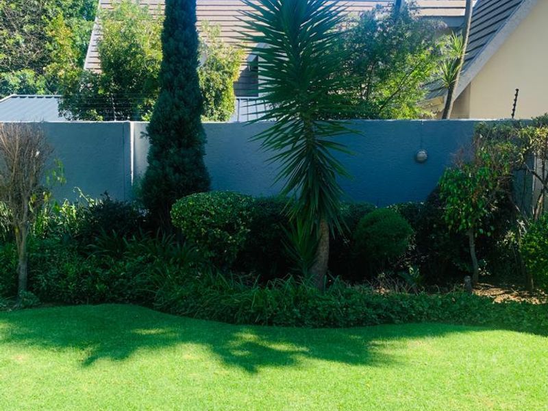 Bedfordview Home: Large Corner Stand, 4 Bedrooms + Study, Modern Kitchen, Entertainer’s Paradise, and Backup Power & Water! - Photo 9