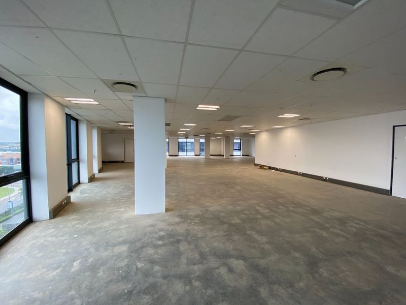 Spacious open-plan commercial office area featuring a suspended ceiling, recessed lighting, and large windows providing ample natural light.